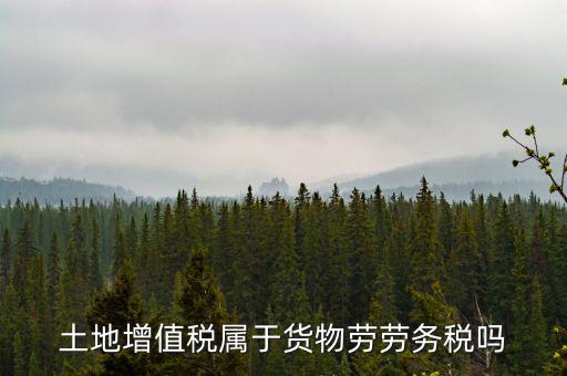 土地增值稅屬于什么稅種，土地增值稅是什么