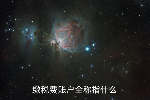 納稅賬戶是什么，我們公司申請的一個專門用來繳納稅款的賬戶是什么賬戶
