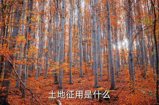 什么是土地報征，什么是征集土地