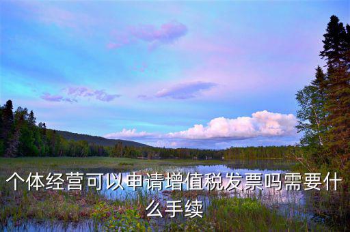 個體打印發(fā)票需要什么資料，開個人增值稅發(fā)票需要什么資料
