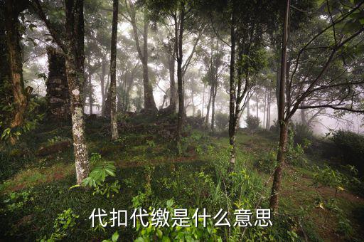 稅務(wù)代收什么意思，代扣代繳是什么意思