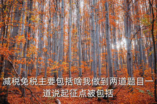 什么是減稅免稅，什么是稅收法定減免