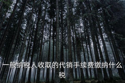 代理服務費交什么稅，一般納稅人收取的代銷手續(xù)費繳納什么稅