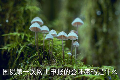 國(guó)稅登記密碼是什么，國(guó)稅第一次網(wǎng)上申報(bào)的登陸密碼是什么