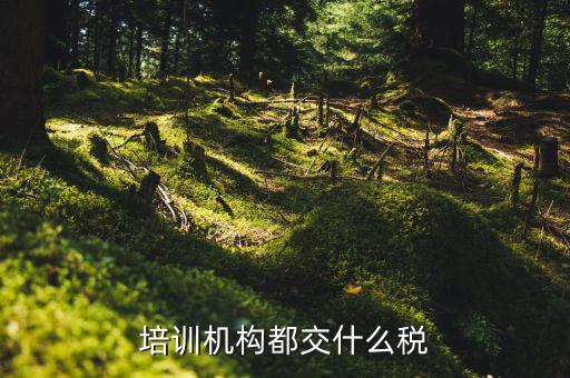 2017培訓(xùn)機(jī)構(gòu)交什么稅，培訓(xùn)機(jī)構(gòu)需要交稅的種類有多少