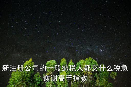 新注冊(cè)公司是什么納稅人，新辦企業(yè)是一般納稅人還是小規(guī)模納稅人