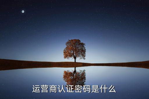 網(wǎng)上認證密碼密碼是什么，一般上網(wǎng)認證系統(tǒng)初始密碼是什么