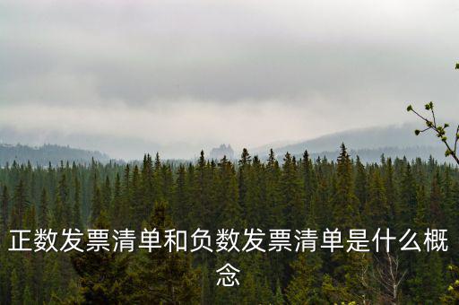 正數(shù)發(fā)票清單和負數(shù)發(fā)票清單是什么概念