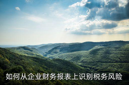 稅務(wù)風(fēng)險(xiǎn)核查是什么意思，虛開(kāi)增值稅專(zhuān)用發(fā)票核查 什么意思