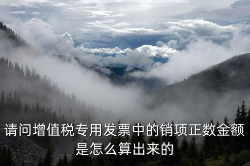 銷項正數(shù)金額是什么意思，銷項正數(shù)金額銷項負廢金額銷項負數(shù)金額是什么意