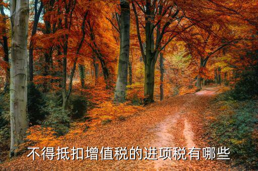 什么是無(wú)法劃分的全部進(jìn)項(xiàng)稅額，會(huì)計(jì)的免稅項(xiàng)目