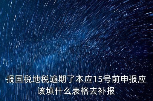補錄國地稅信息都錄什么，報國稅地稅逾期了本應(yīng)15號前申報應(yīng)該填什么表格去補報