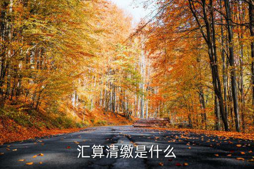匯算清繳查賬都查什么，稅務(wù)局要對我司進(jìn)行匯算清繳后的查帳包括費(fèi)用帳成本帳往來帳