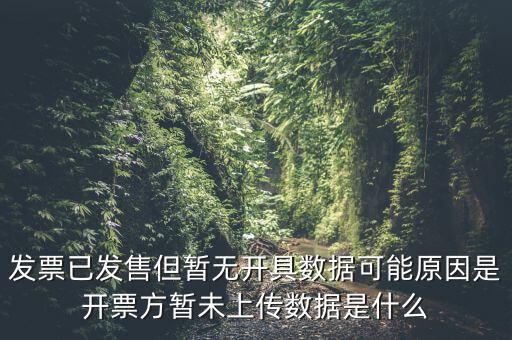 發(fā)票已發(fā)售但暫無(wú)開(kāi)具數(shù)據(jù)可能原因是開(kāi)票方暫未上傳數(shù)據(jù)是什么