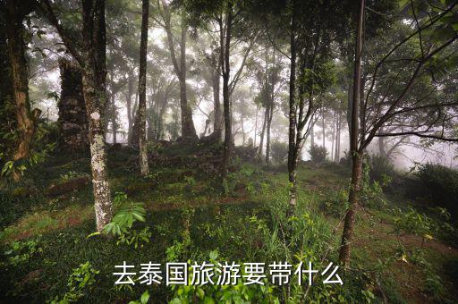 稅務(wù)局的信仰是什么，道德模范有哪些