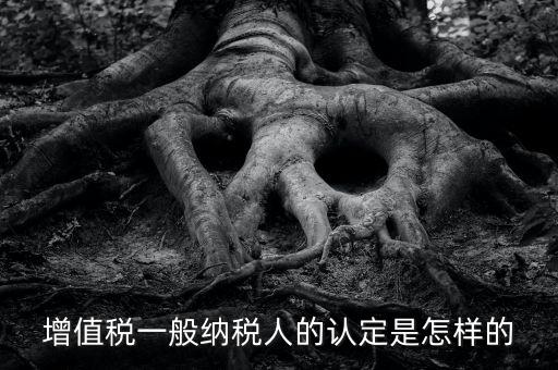 一般納稅人認(rèn)證是什么，一般納稅人資格證什么