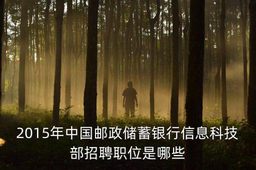 郵政2015主要工作為11333是什么，關(guān)于2015年的郵政郵遞員工作的問題