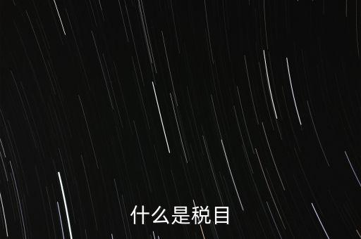 什么是稅法 文化，中華人民共和國(guó)地稅法