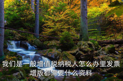 發(fā)票增版申需要什么意思，我們是一般增值稅納稅人怎么辦里發(fā)票增版都需要什么資料