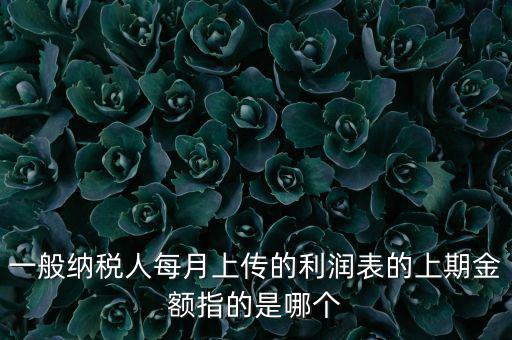 一般納稅人每月上傳的利潤表的上期金額指的是哪個(gè)
