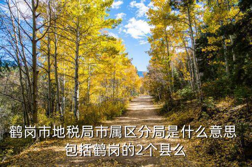 片區(qū)稅務分局是什么，陽宗海片區(qū)屬于哪個稅務局