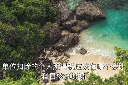 一般稅費(fèi)放在什么部門核算，繳納個(gè)人所得稅在什么部門經(jīng)濟(jì)科目核算