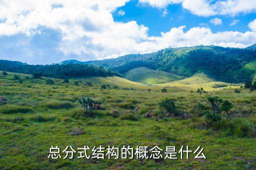 總分機構標志是什么意思，總分機構納稅人是什么意思