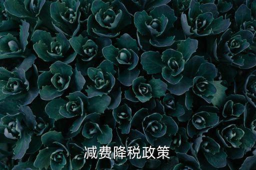 做好6項(xiàng)減稅政策的內(nèi)容是什么，減費(fèi)降稅政策