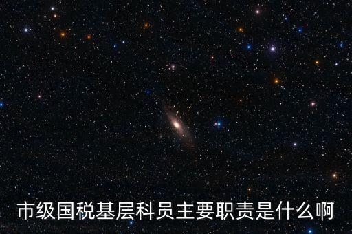 基層國稅辦公室做什么，請問國稅局基層分局科員縣域主要負(fù)責(zé)什么工作