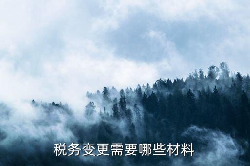 變更辦稅員要帶什么，財務(wù)負(fù)責(zé)人和辦稅員的變更需要辦理哪些手續(xù)