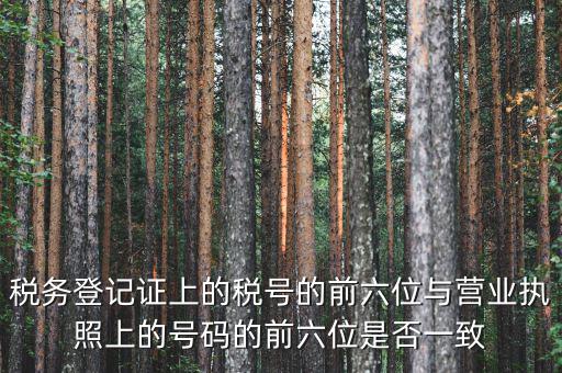 稅號前六位代表什么，納稅識別號前六位數(shù)為140111是什么意思