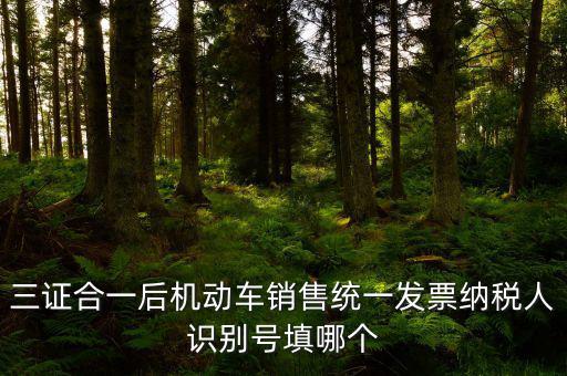 統(tǒng)一納稅識(shí)別號(hào)是什么，三證合一后機(jī)動(dòng)車銷售統(tǒng)一發(fā)票納稅人識(shí)別號(hào)填哪個(gè)
