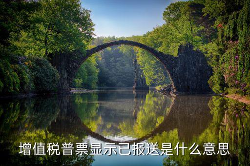 什么是報(bào)送報(bào)告，什么是報(bào)送審計(jì)