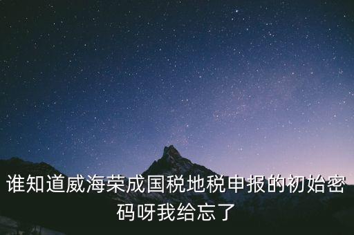 申報地稅的密碼是什么，徐州地稅網(wǎng)上申報的初始密碼是多少啊