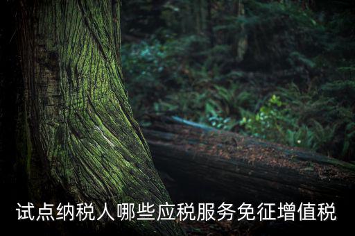 家政服務(wù)免增值稅什么業(yè)務(wù)免，家政服務(wù)企業(yè)的什么收入可以免征增值稅