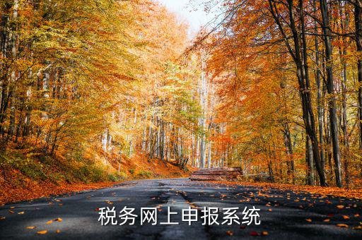 什么是稅收網(wǎng)報(bào)軟件，稅務(wù)網(wǎng)上申報(bào)系統(tǒng)