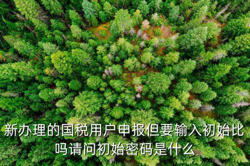 初始申報(bào)密碼是什么，小關(guān)稅務(wù)所 新企業(yè) 網(wǎng)上納稅申報(bào)初始密碼是什么