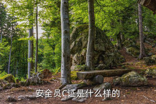 數(shù)字人事是什么樣的，數(shù)字人事是什么