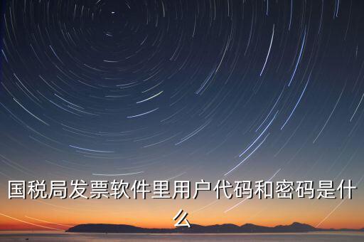 發(fā)票代碼 號碼 密碼是什么樣的，國稅局發(fā)票軟件里用戶代碼和密碼是什么
