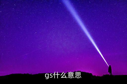 什么是gs系統(tǒng)，gs什么意思