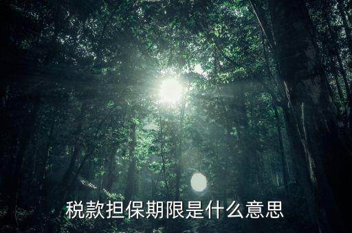納稅擔(dān)保人什么意思，稅款擔(dān)保期限是什么意思