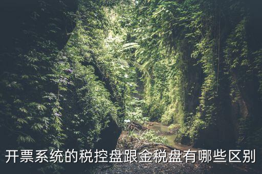 金稅盤和稅控盤什么區(qū)別，金稅盤和稅控盤開出的發(fā)票有什么區(qū)別