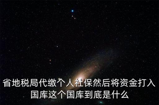 省地稅局代繳個(gè)人社保然后將資金打入國(guó)庫(kù)這個(gè)國(guó)庫(kù)到底是什么