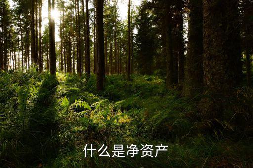 什么凈資產(chǎn)稅，什么是凈資產(chǎn)