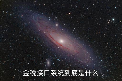金稅售后是做什么的，鞍山金稅科技有限公司是干什么工作