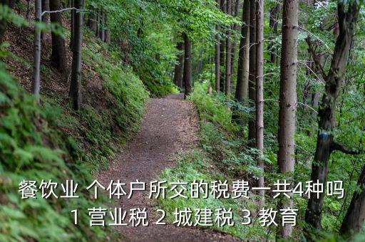 個體餐飲業(yè)交什么稅，餐飲業(yè) 個體戶所交的稅費一共4種嗎 1 營業(yè)稅 2 城建稅 3 教育