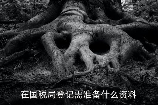 稅務(wù)登記備什么，在國(guó)稅局登記需準(zhǔn)備什么資料