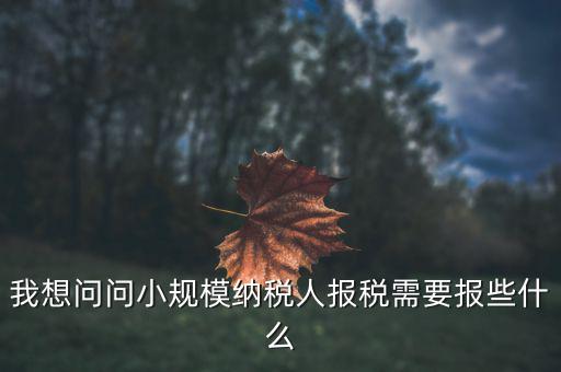 小規(guī)模國稅申報些什么，小規(guī)模納稅人國稅需要報什么資料
