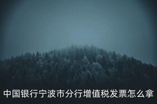 寧波國稅過發(fā)票要帶什么，浙江地區(qū)公司首次拿發(fā)票去國稅局需要帶什么證件