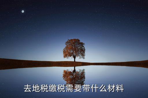 地稅局定稅要拿什么，去地稅局報稅需要拿什么東西